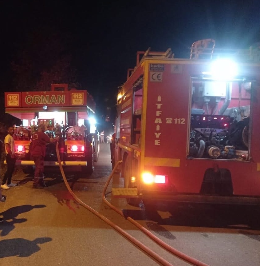 Hatay'da Çıkan Orman Yangını Söndürüldü