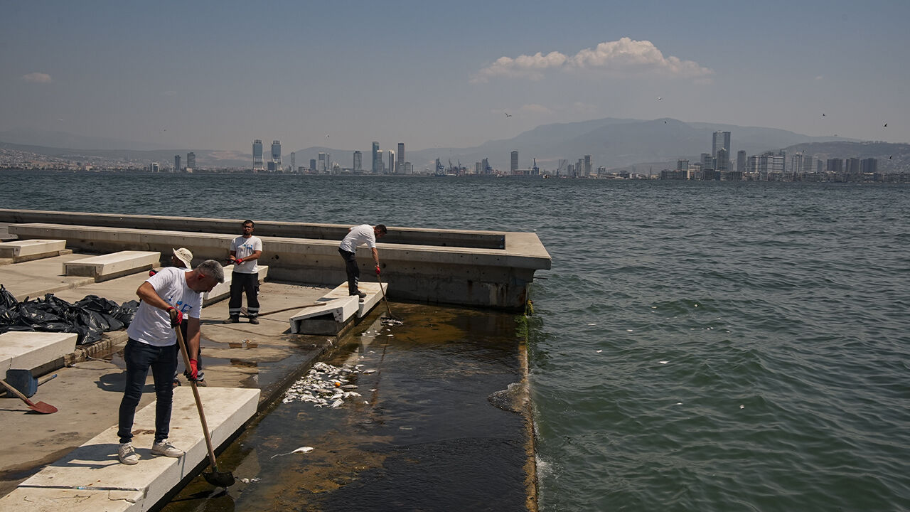 İzmir Körfezi’nde Kirlilik Alarmı Balık Ölümleri Arttı2