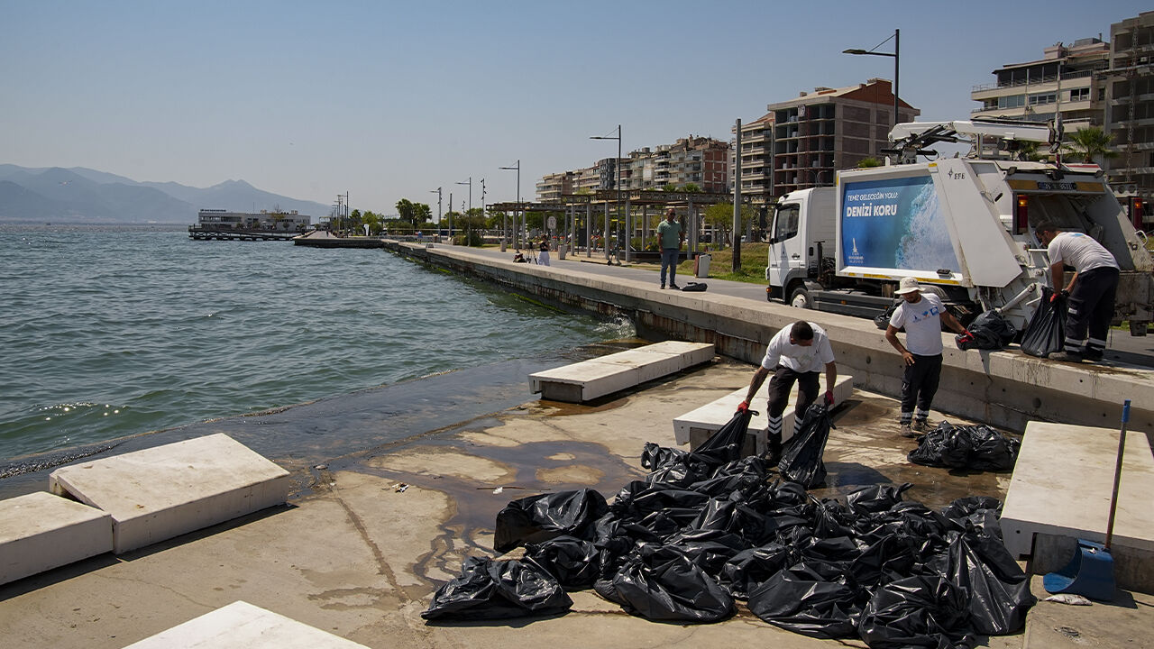 İzmir Körfezi’nde Kirlilik Alarmı Balık Ölümleri Arttı3