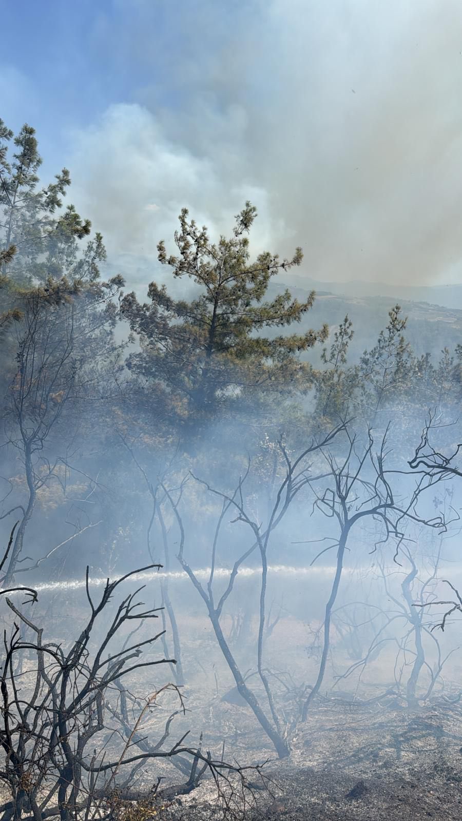 Kadirli’de Orman Yangını Erken Müdahale Ile Büyümeden Söndürüldü (1)