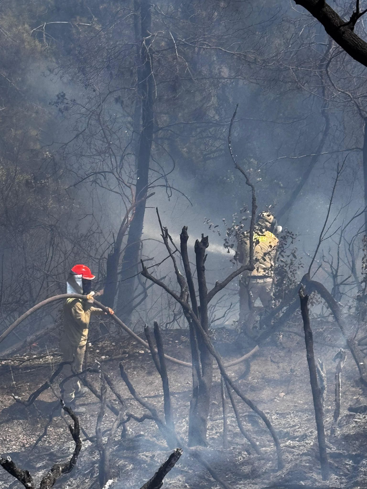 Kadirli’de Orman Yangını Erken Müdahale Ile Büyümeden Söndürüldü (2)