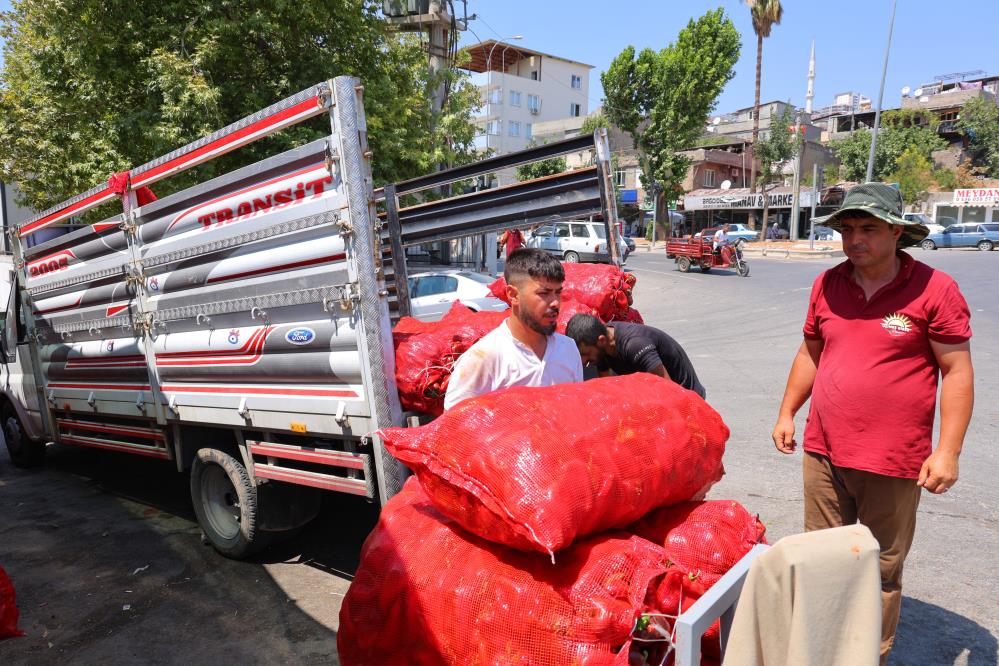 Kahramanmaraş’ta Salça Telaşı Başladı 2