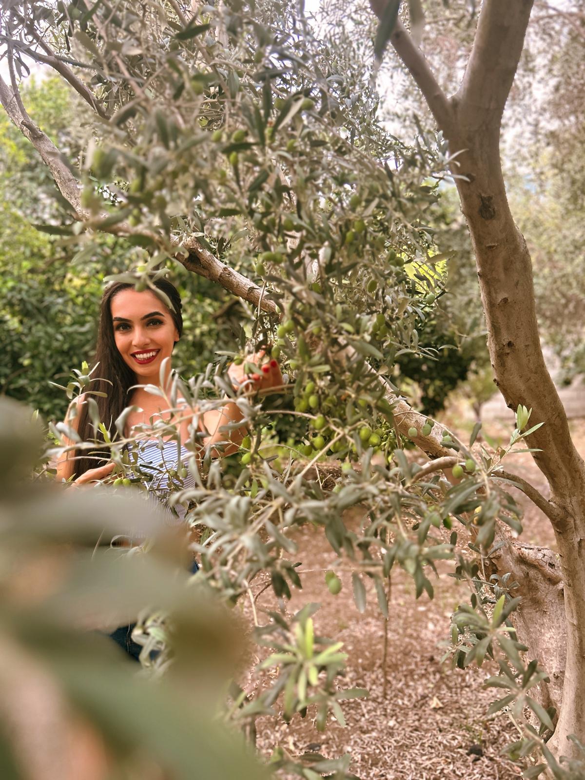 Meltem’in Evi Hatay Kültürünü Tanıtacak3