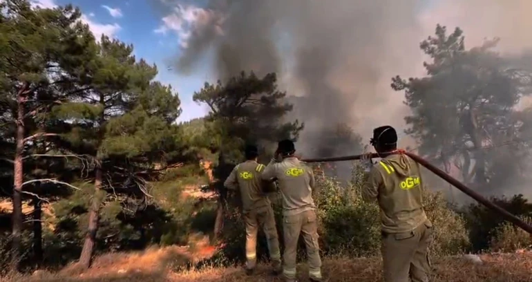 Mersin Ve Hatay’da Orman Yangını2