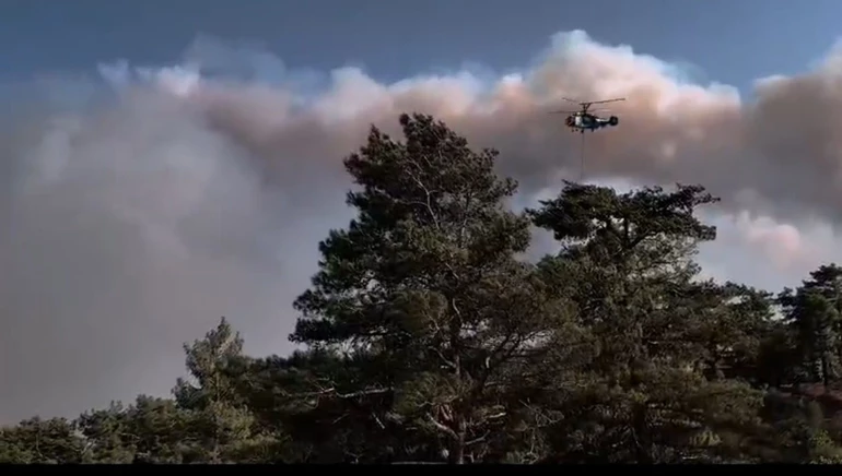 Mersin Ve Hatay’da Orman Yangını3