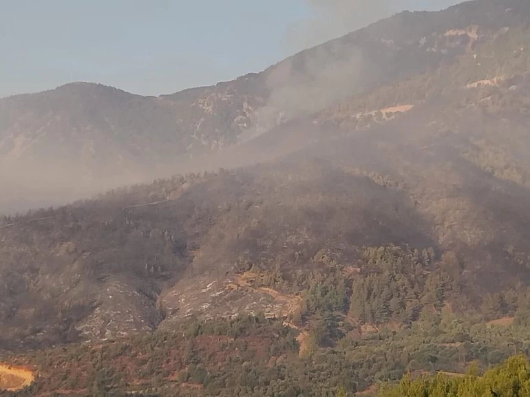 Mersin Ve Hatay’da Orman Yangını4