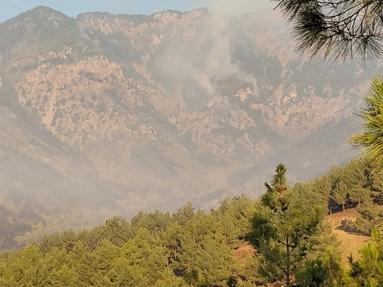 Mersin Ve Hatay’da Orman Yangını5