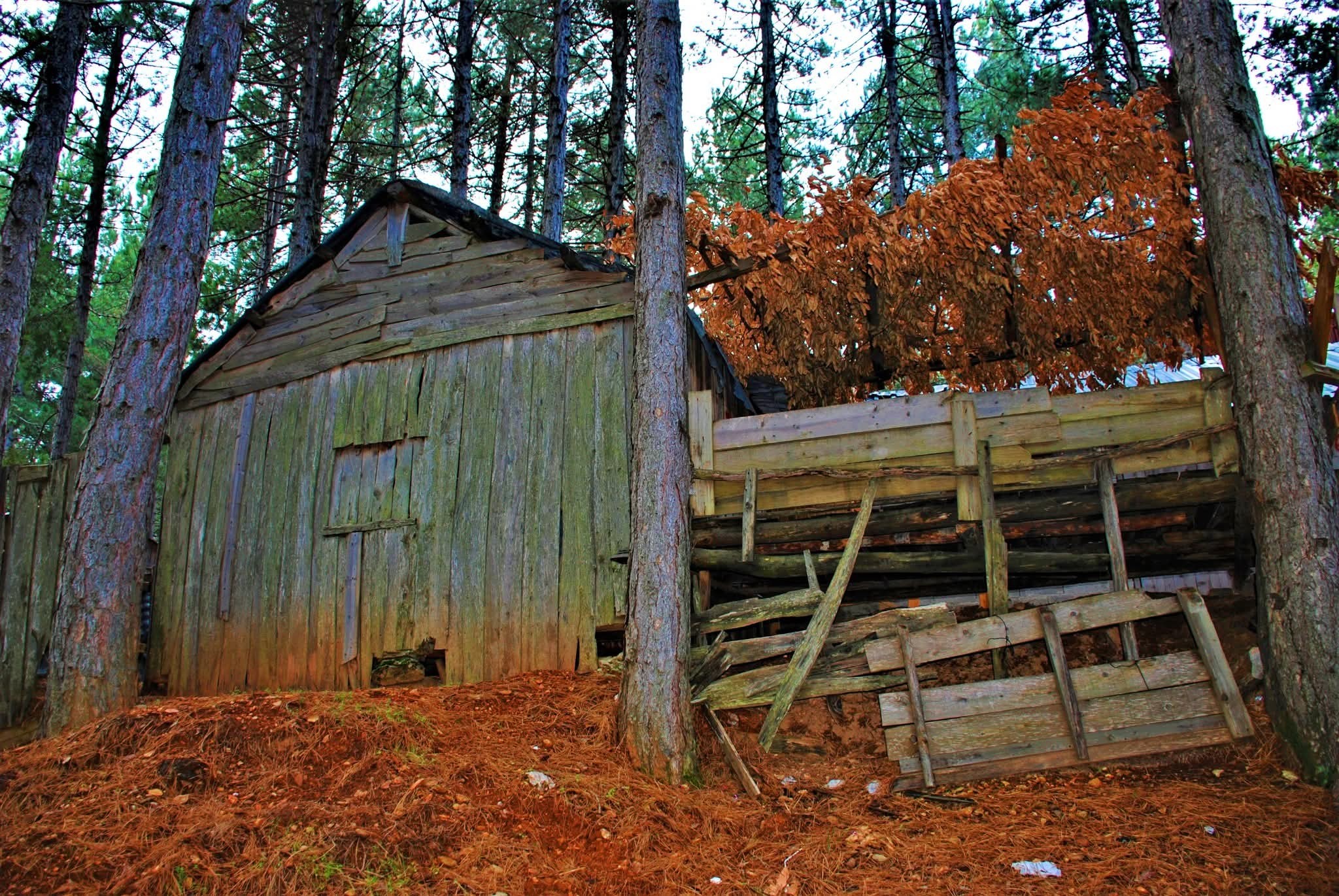 Osmaniye Zorkun Yaylası’nda Eski Evler Ve Sıcacık Anılar Hatırlanıyor (3)