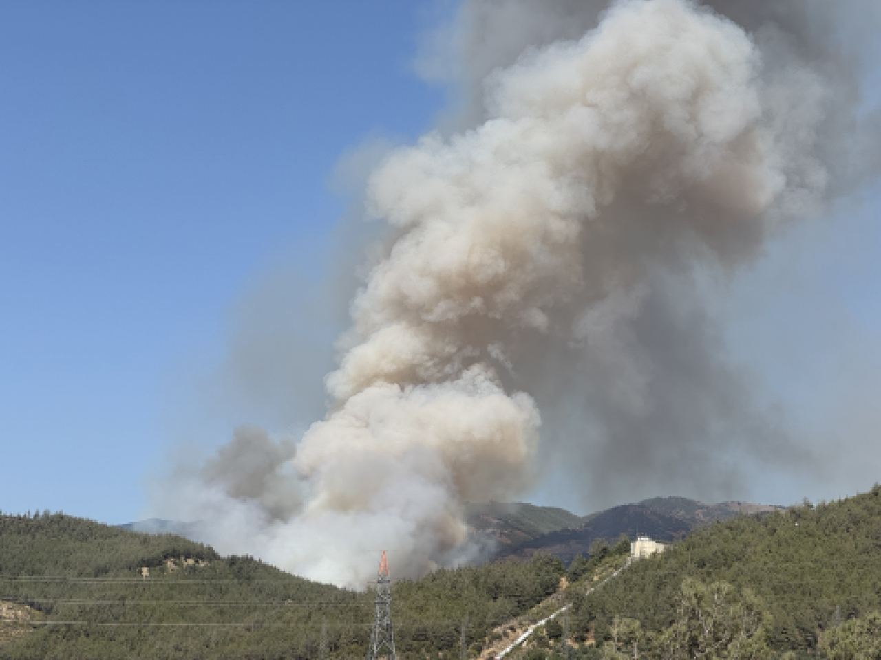 Osmaniye'de Orman Yangını Çıktı 1