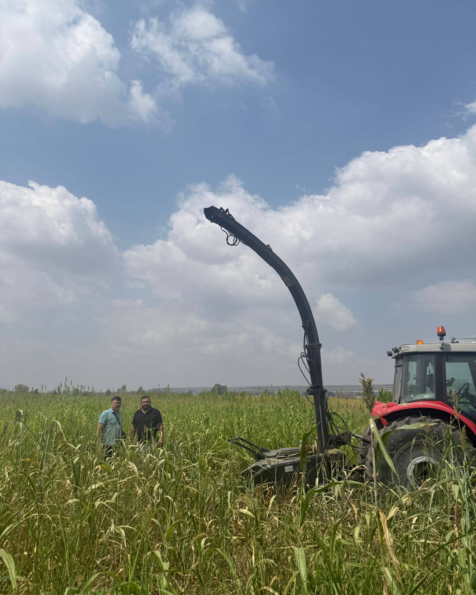 Osmaniye’de Yem Bitkisi Hasadı Başladı4