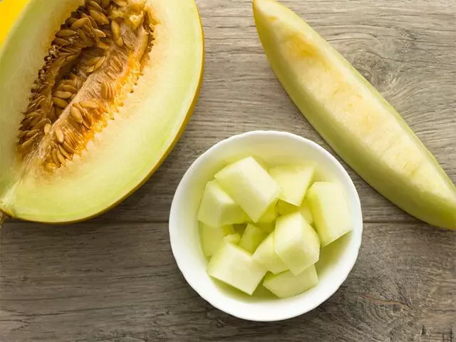 Osmaniyeliler Bal Gibi Kavun 4