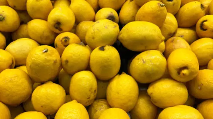 Osmaniyeliler İçin Limonla Doğal Temizlik Tüyoları5