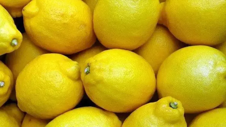Osmaniyeliler İçin Limonu Aylarca Taze Tutma Yöntemi1