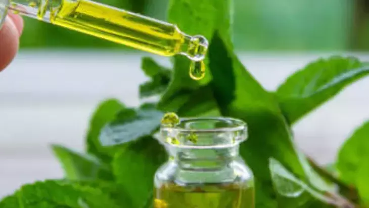 Osmaniyeliler İçin Naneli Sinek Savar Çözüm2