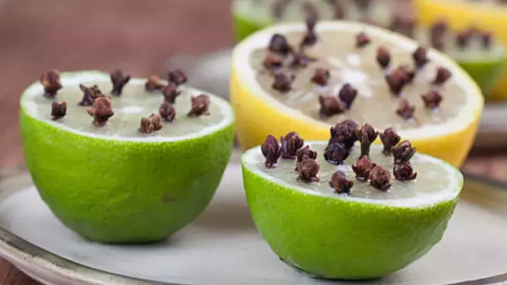 Osmaniyeliler İçin Naneli Sinek Savar Çözüm6