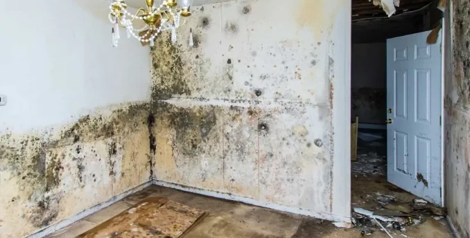 Osmaniyeliler İçin Rutubete Doğal Çözüm2