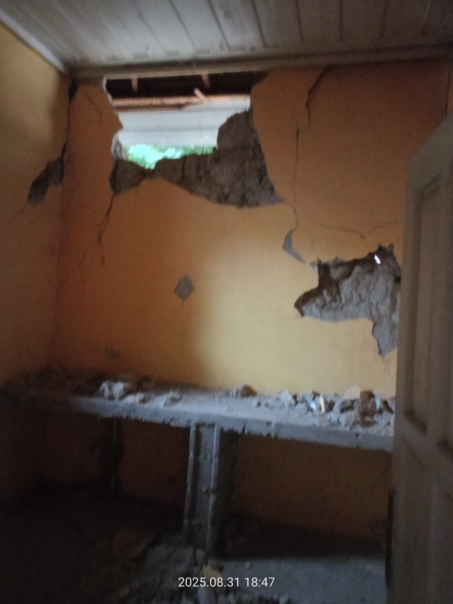 Osmaniye’nin Tarihi Konağı Çöp Deposu Oldu (7)