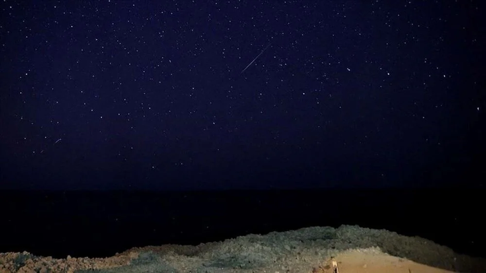 Perseid Meteor (3)