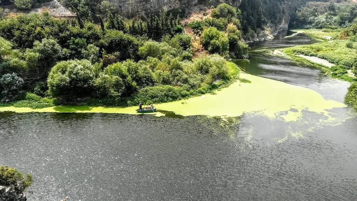 Samandağ'da Asi Nehri'nde Huzur Dolu Gün3