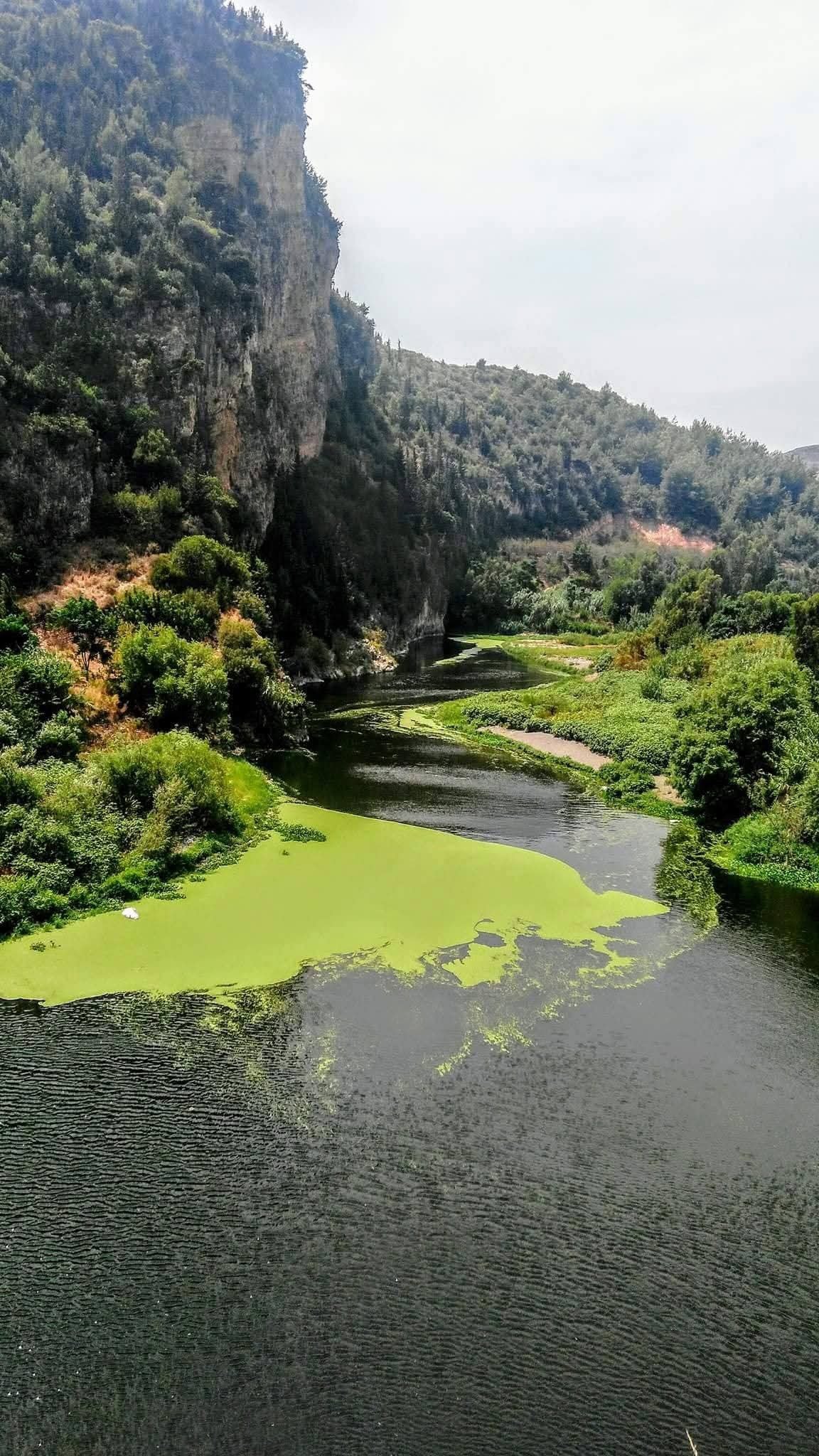 Samandağ'da Asi Nehri'nde Huzur Dolu Gün6