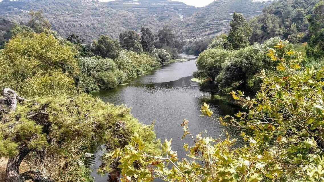 Samandağ'da Asi Nehri'nde Huzur Dolu Gün8