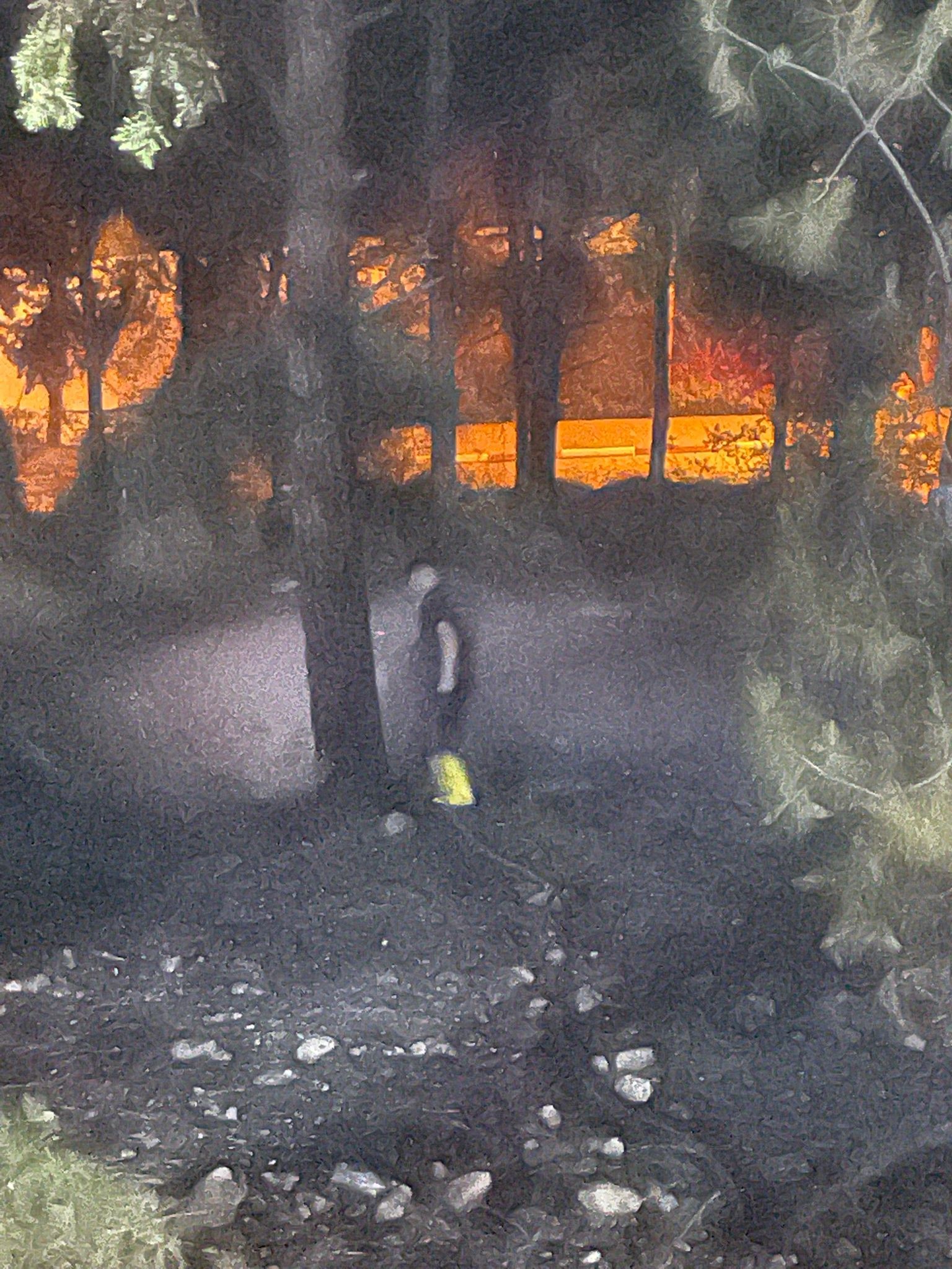 Sülemiş'de Çıkan Yangını Kısa Sürede Söndürüldü (3)