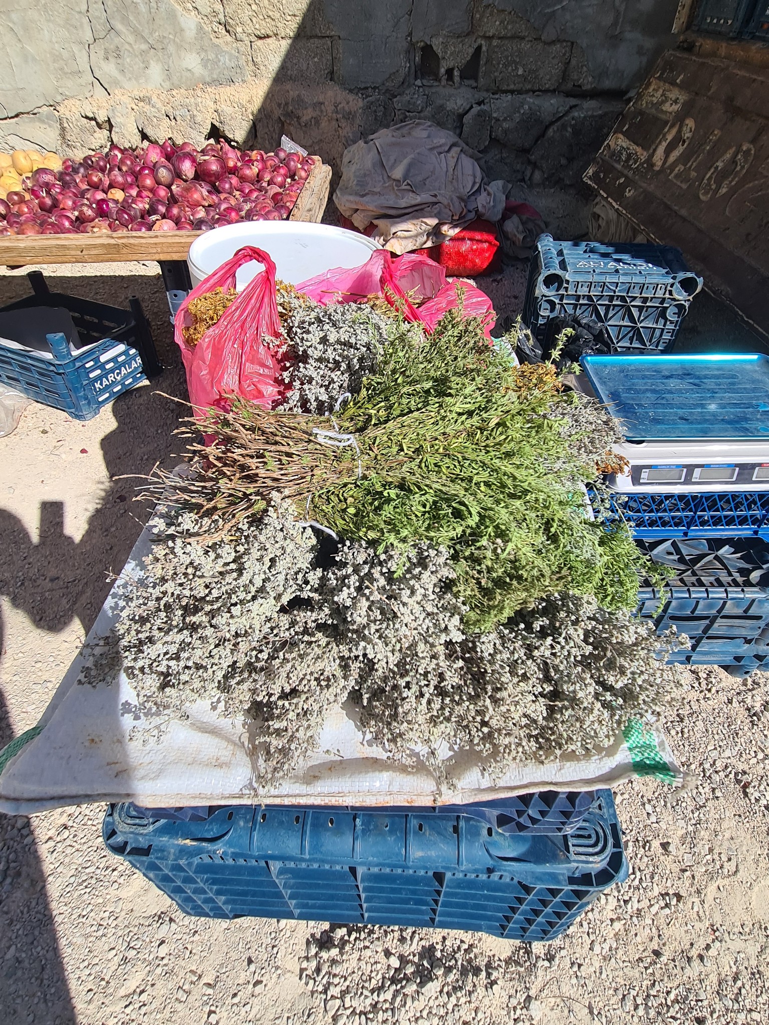 Torosların Kalbinde Zorkun Yayla Pazarı (1)
