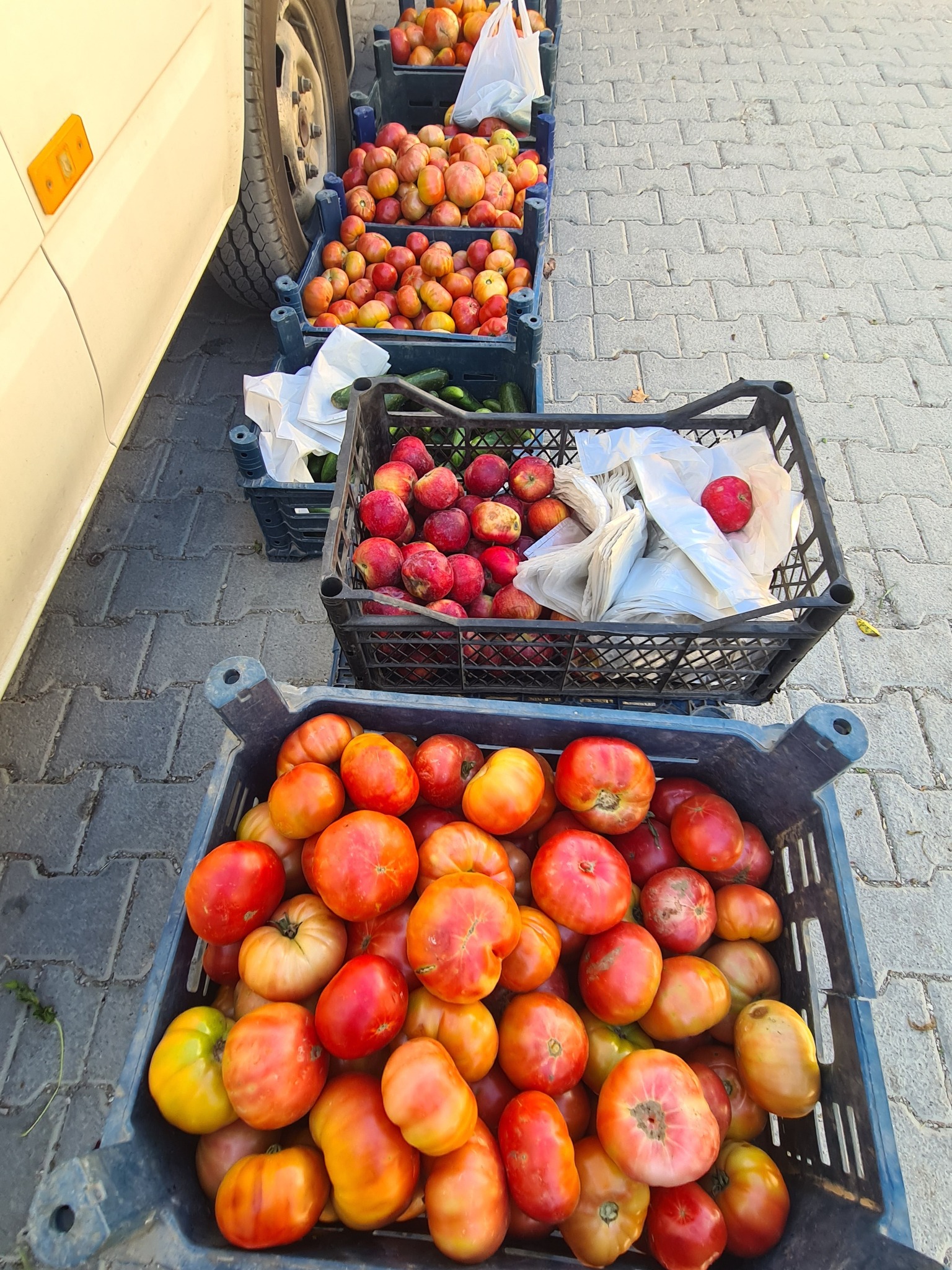 Torosların Kalbinde Zorkun Yayla Pazarı (5)