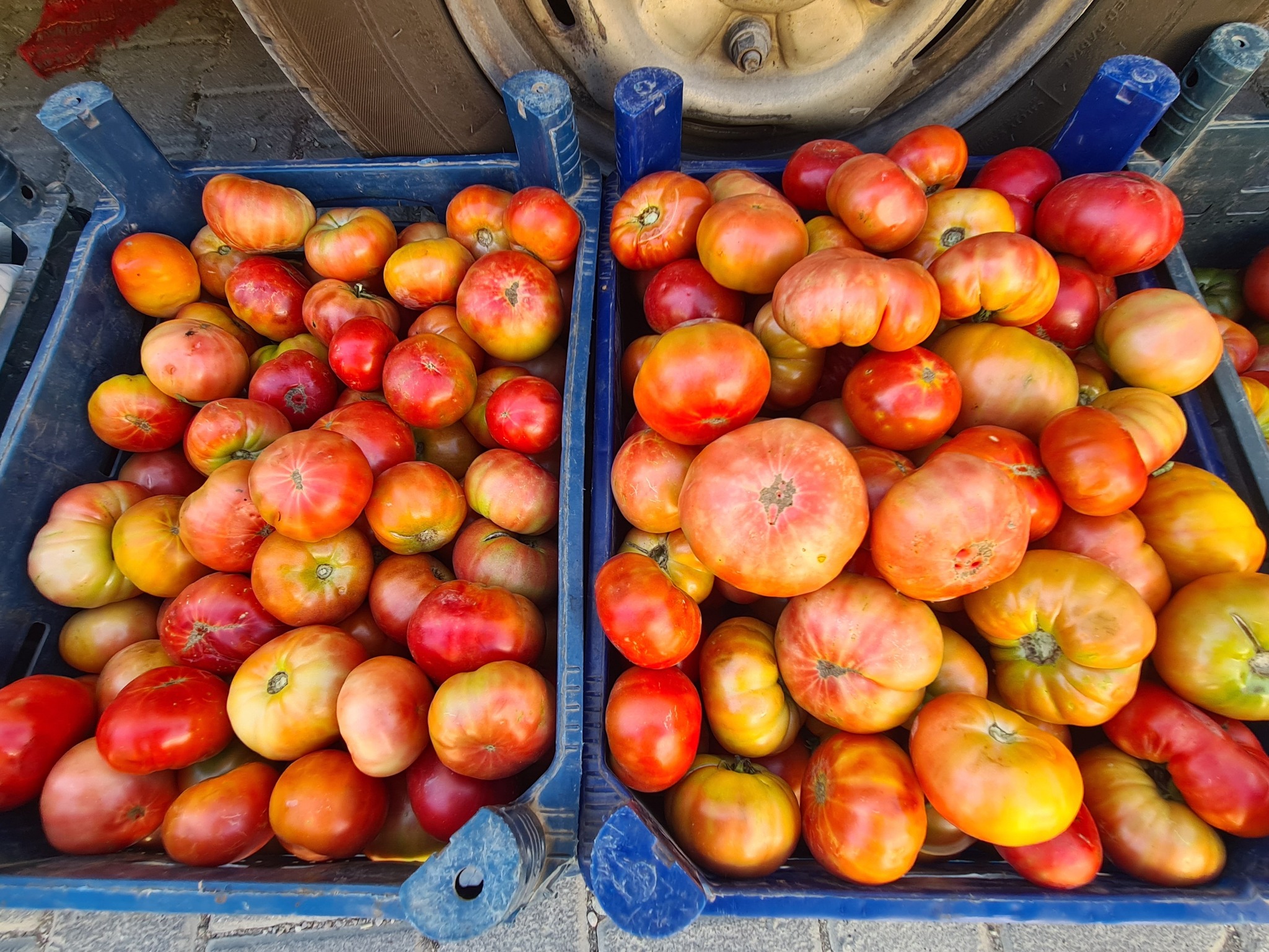 Torosların Kalbinde Zorkun Yayla Pazarı (6)