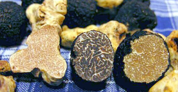 Truf Mantari Cesitleri