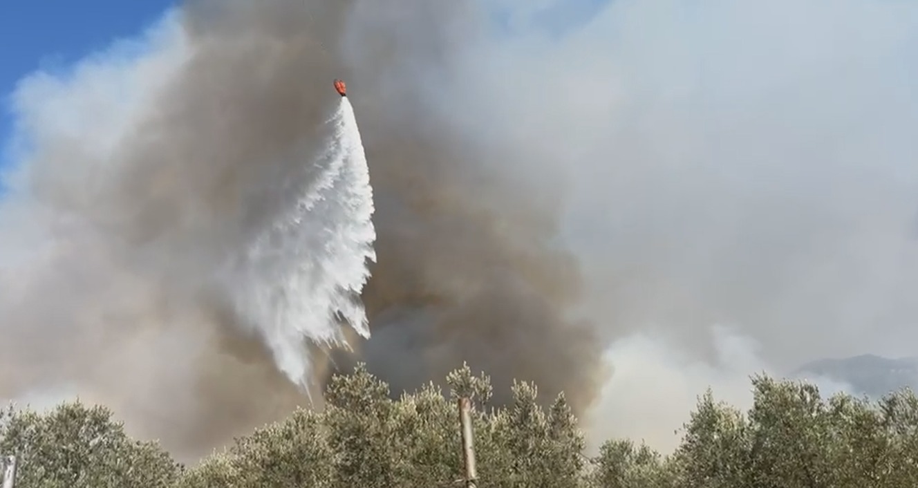 Whatsapp Image 2025 08 14 At 15.24.44