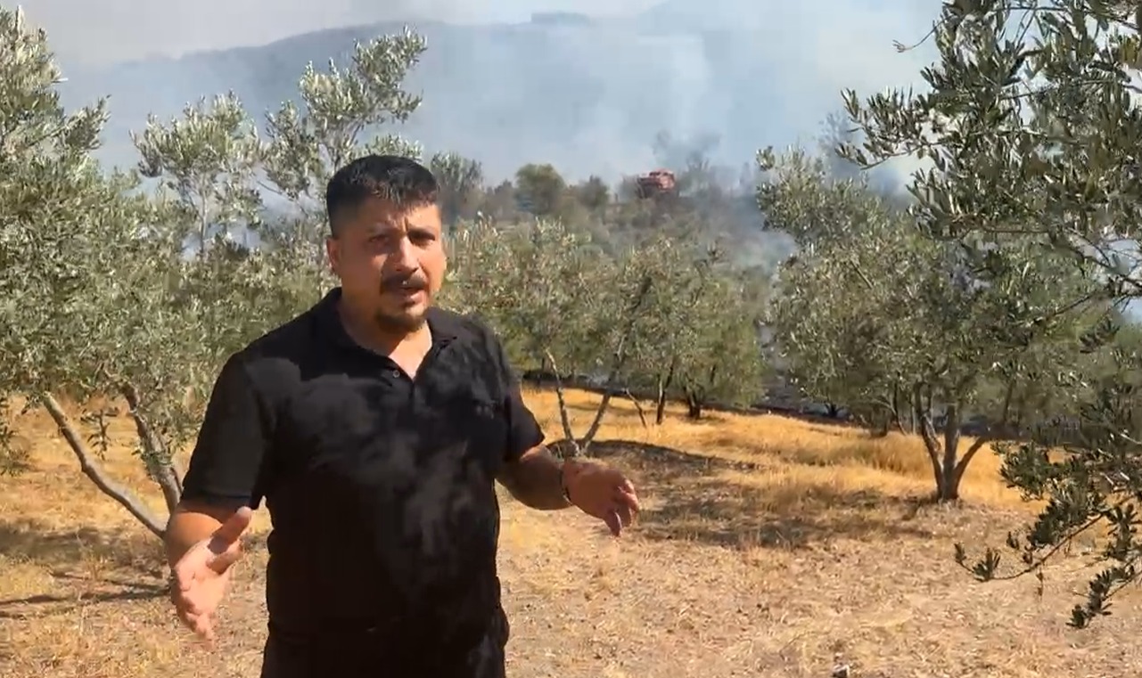 Whatsapp Image 2025 08 14 At 15.26.18