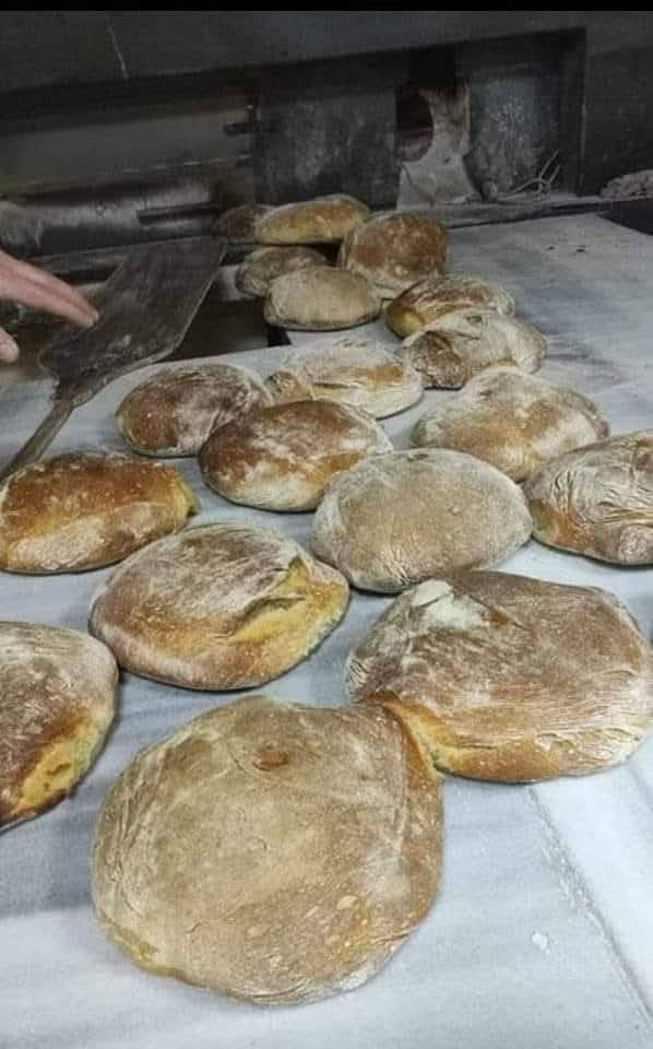 Zeytinyağı, Otlar Ve Harmandalı Ege’den Gelen Sıcaklık (15)