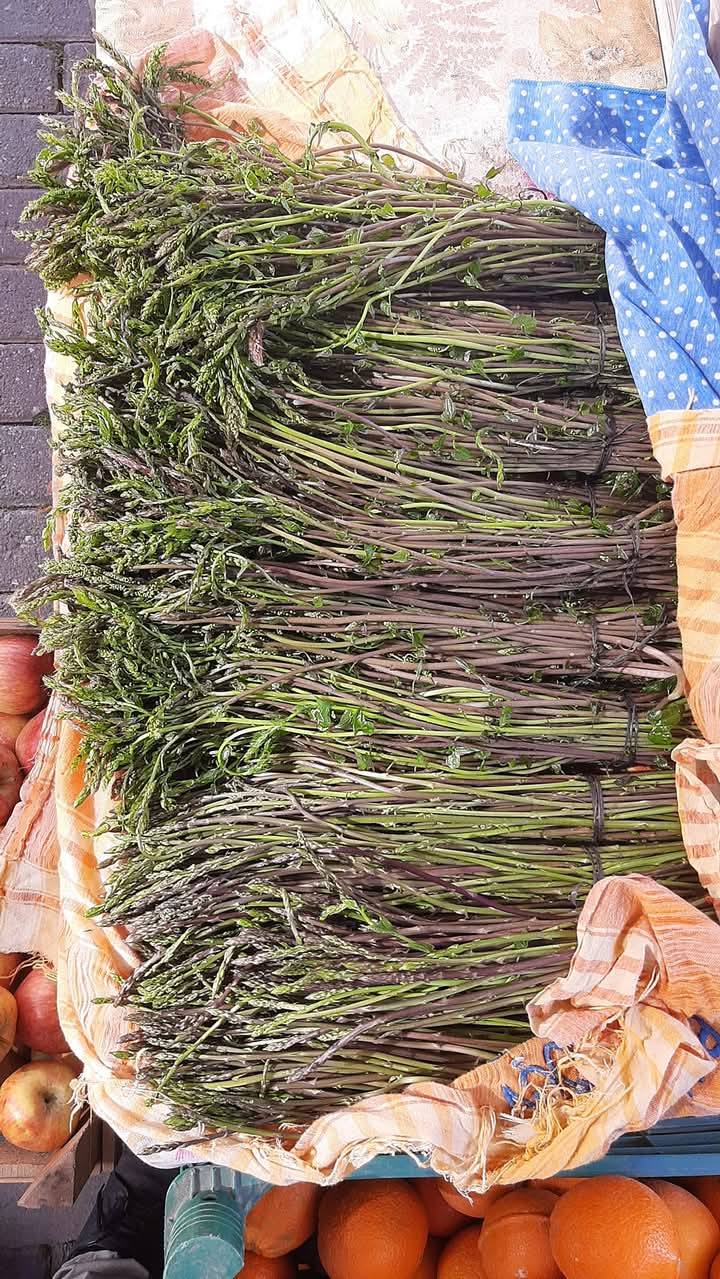 Zeytinyağı, Otlar Ve Harmandalı Ege’den Gelen Sıcaklık (5)