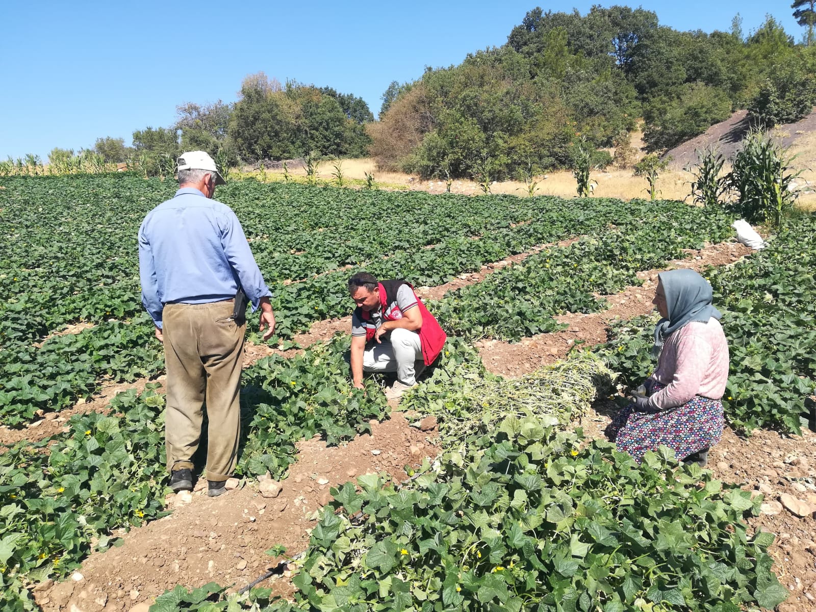 Akhisar Tarım Müdürlüğü’nden Sezon Değerlendirmesi14
