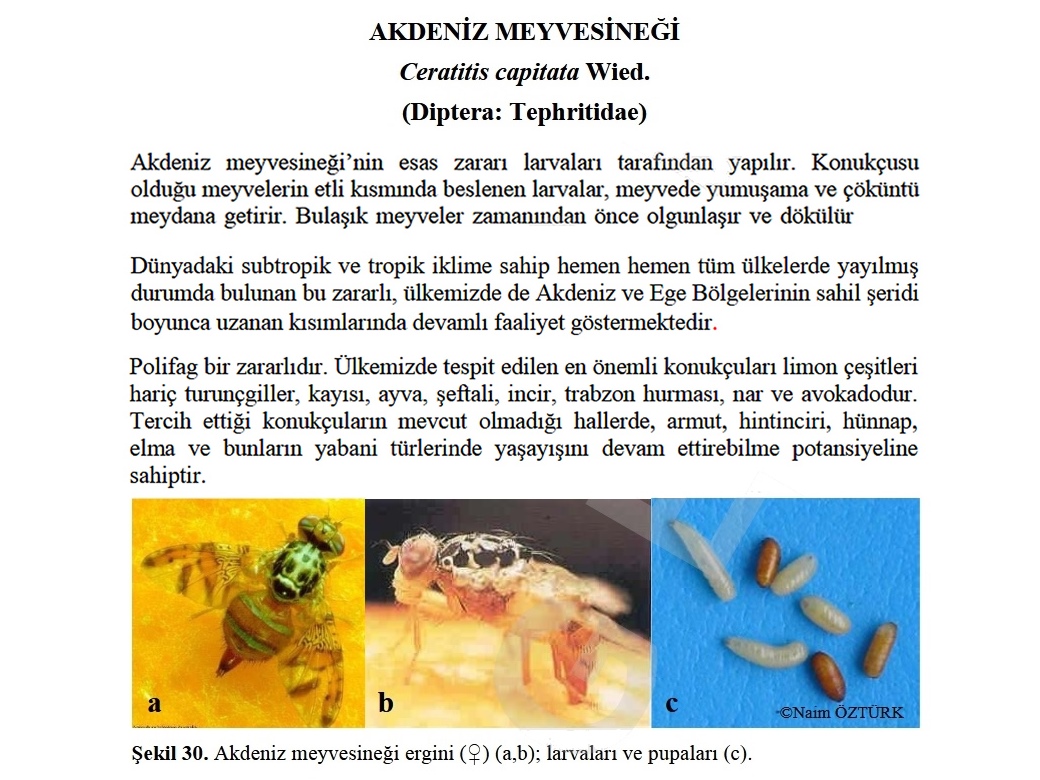 Akhisar Tarım Müdürlüğü’nden Sezon Değerlendirmesi17