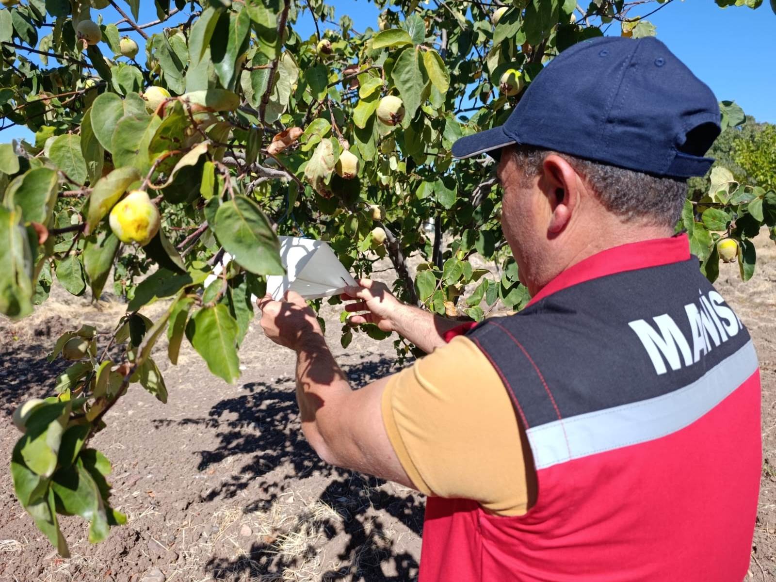 Akhisar Tarım Müdürlüğü’nden Sezon Değerlendirmesi3