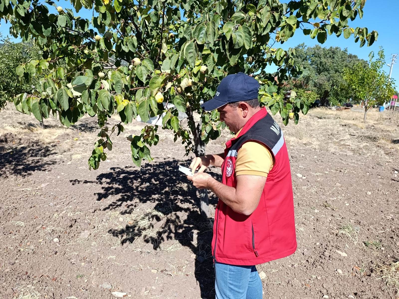 Akhisar Tarım Müdürlüğü’nden Sezon Değerlendirmesi5