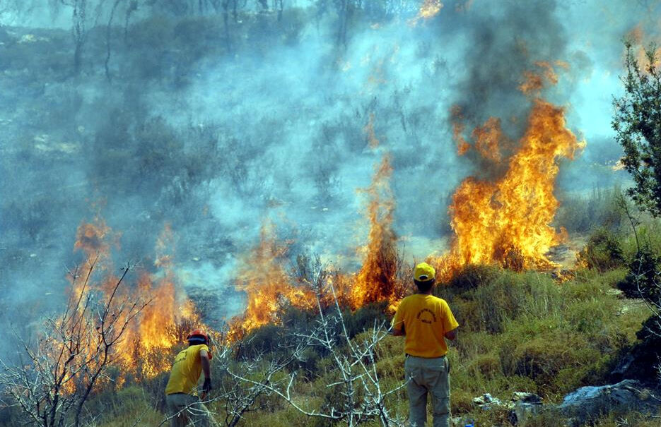 Ankara’yı Saran Duman Kastamonu Yangınından Kaynaklandı3
