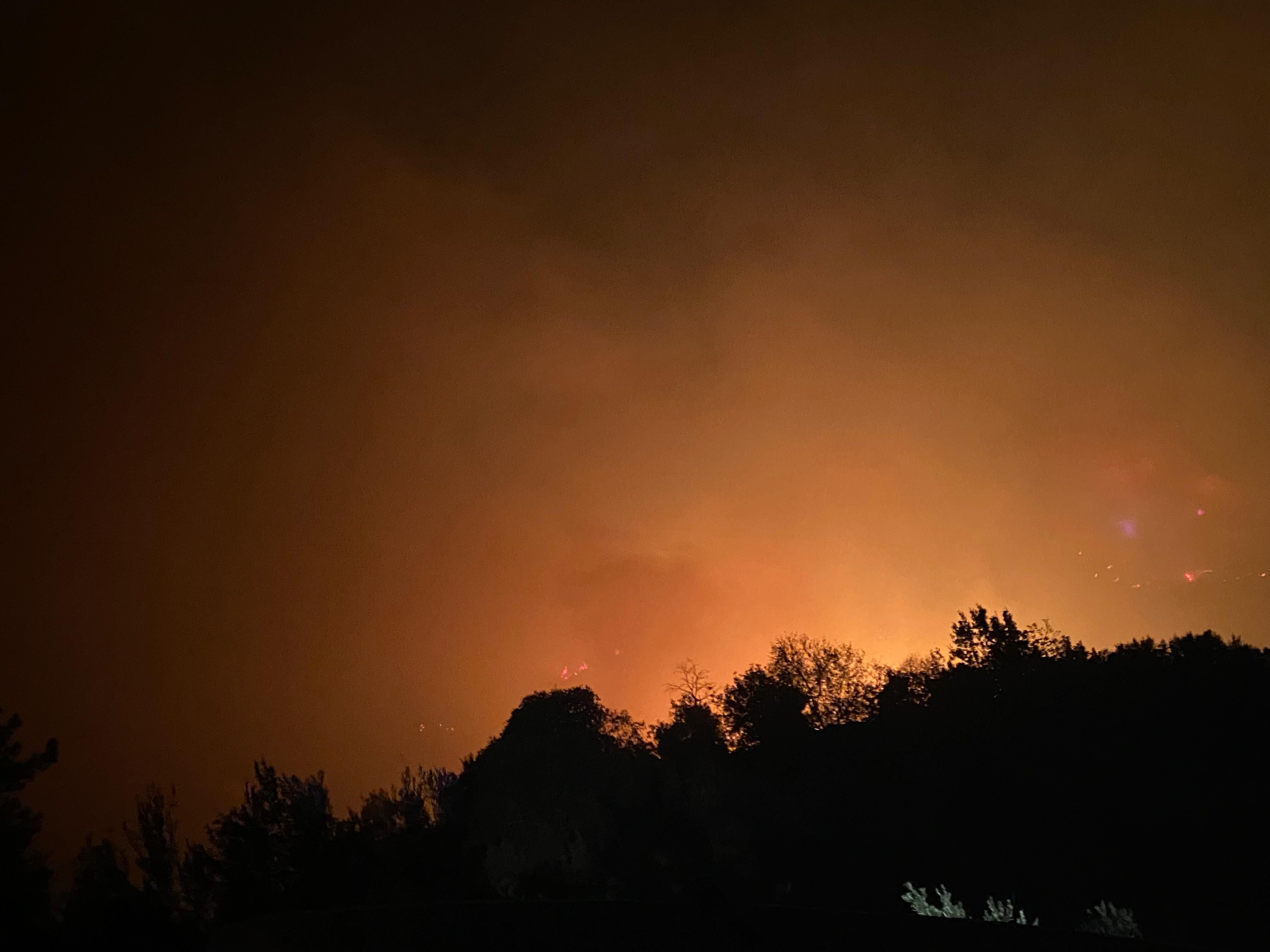 Antalya'nın Alanya ilçesinde ormanlık alanda yangın çıktı