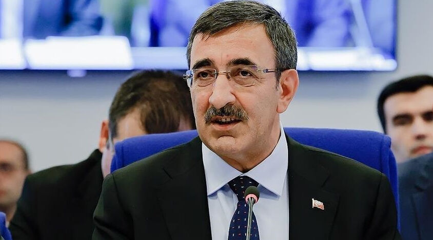 Cumhurbaşkanı Yardımcısı Cevdet Yılmaz Kimdir2