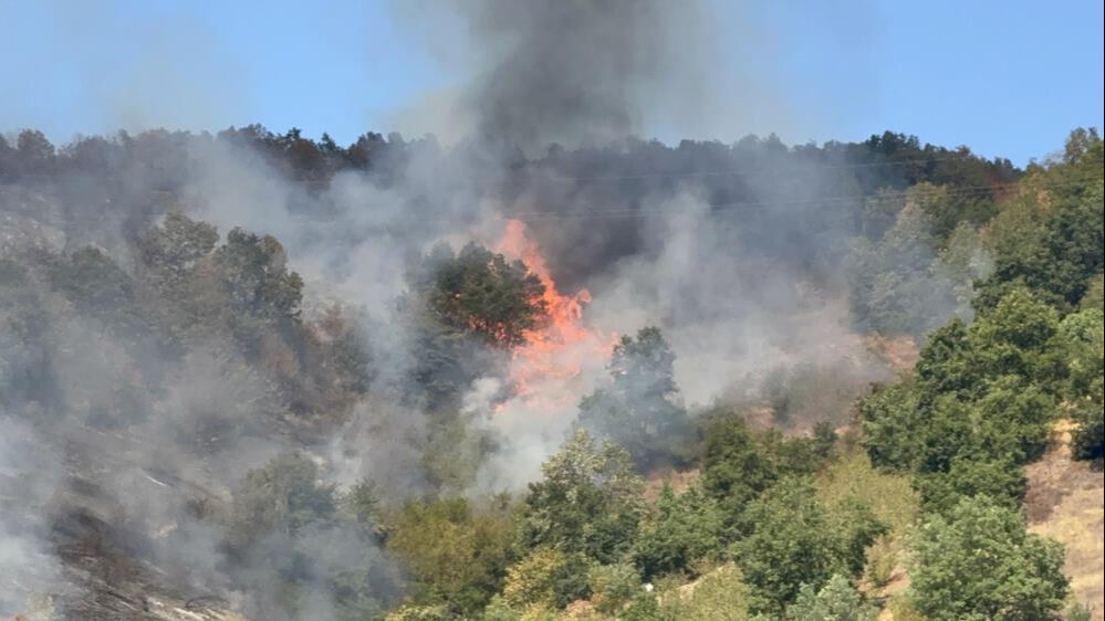 Düzce’de Orman Yangını Ekipler Müdahale Ediyor3