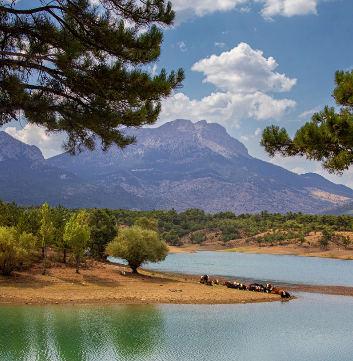 Ekran Görüntüsü 2025 09 26 092506