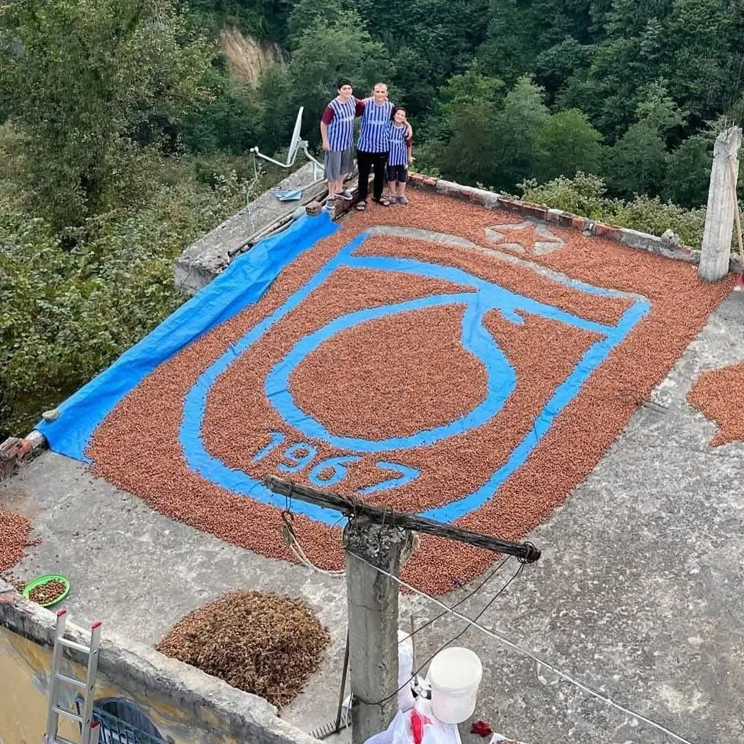 Fındık Trabzonspor Logo