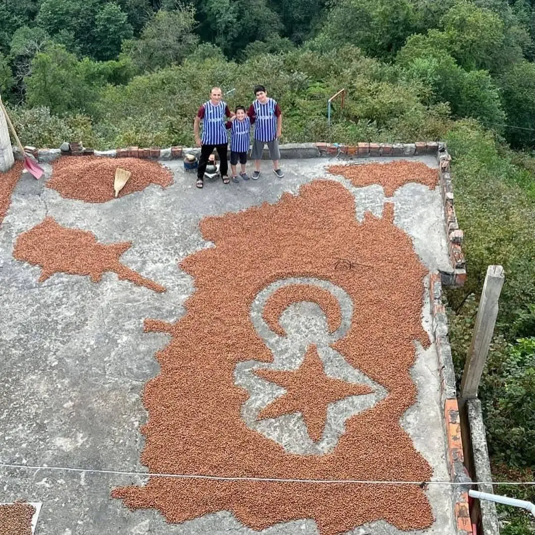 Fındık Türk Bayrağı