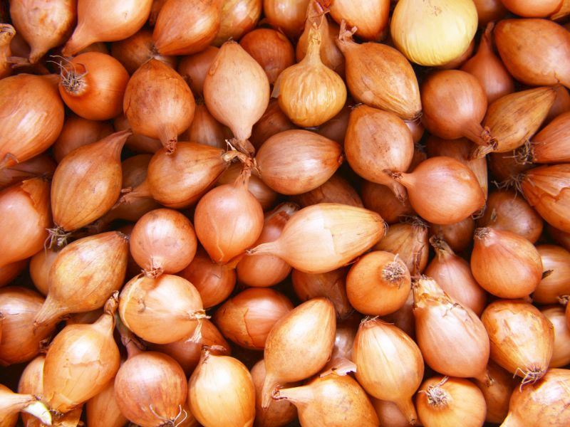 Gaziantep’in Efsane Kebabı (2)