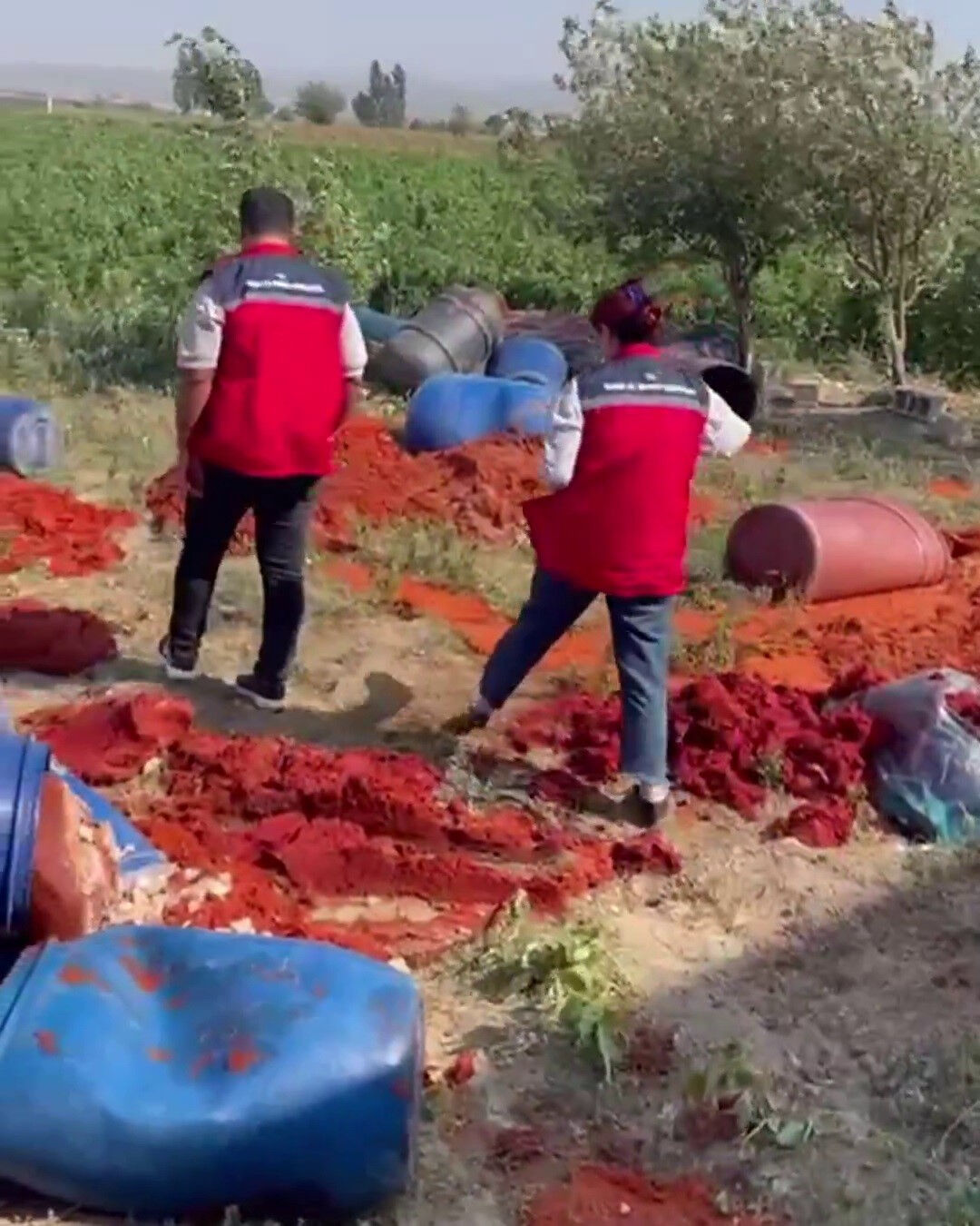 Hatay’da 6 Ton Sahte Salça İmha Edildi2