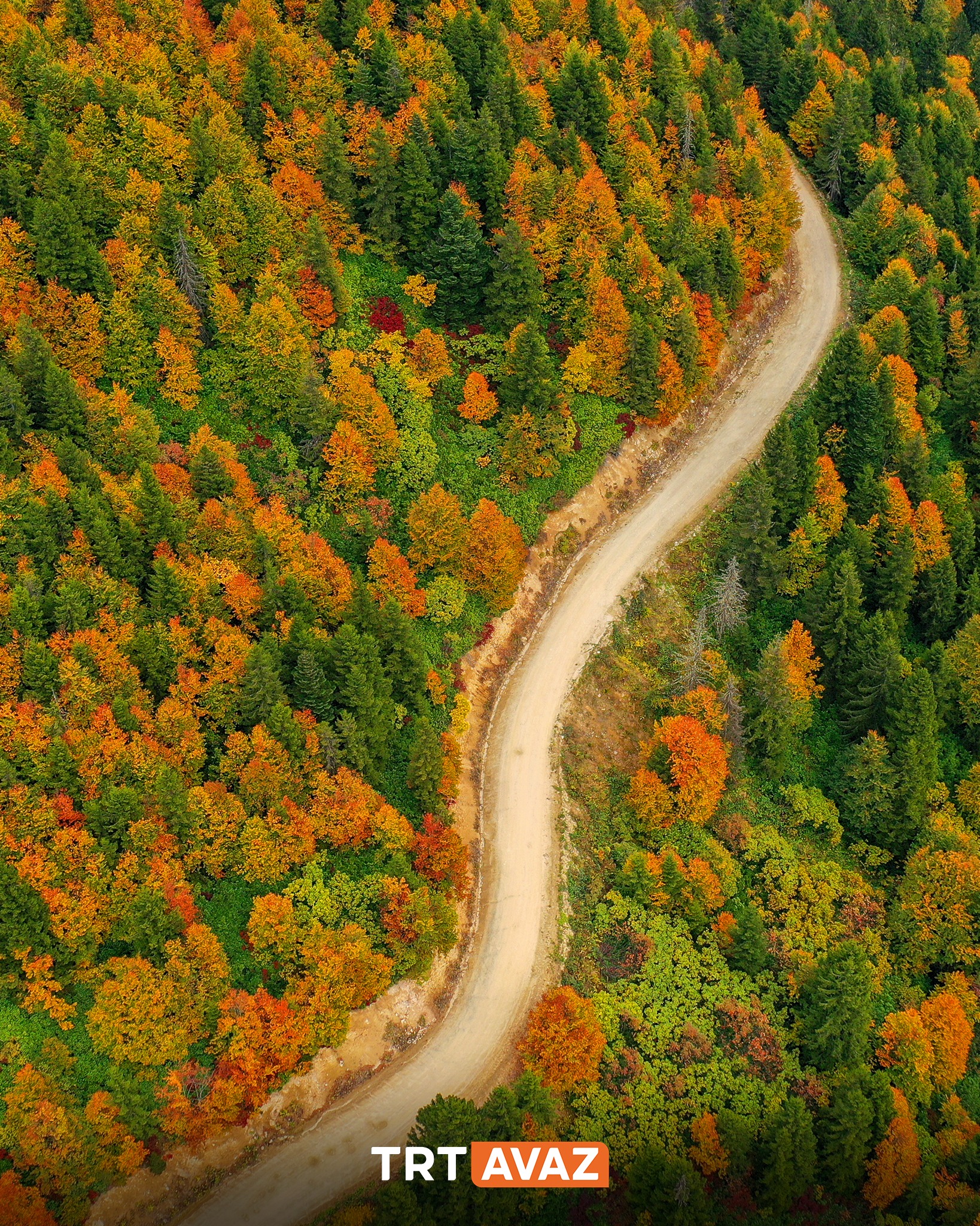 Kaçkar Dağları İkizderede Sonbahar Renkleriyle Büyülüyor6