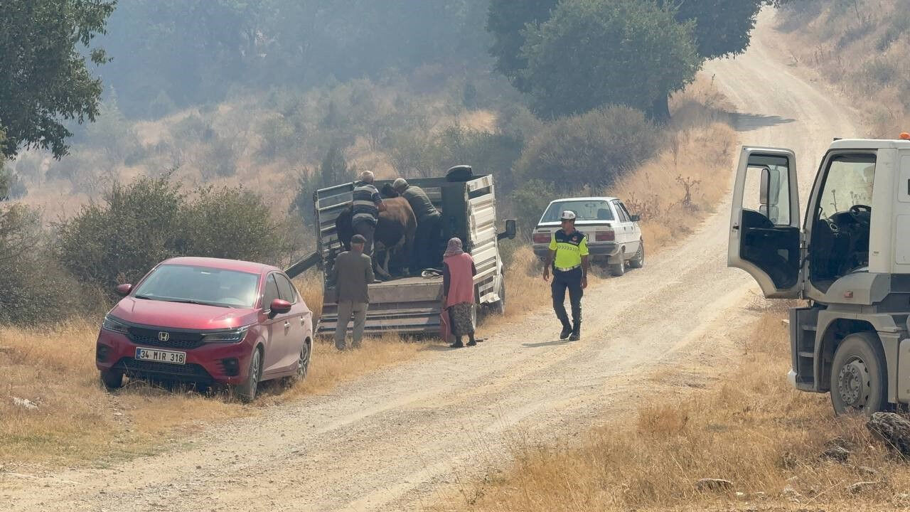 Karabük’teki Orman Yangını Kastamonu’ya Sıçradı3