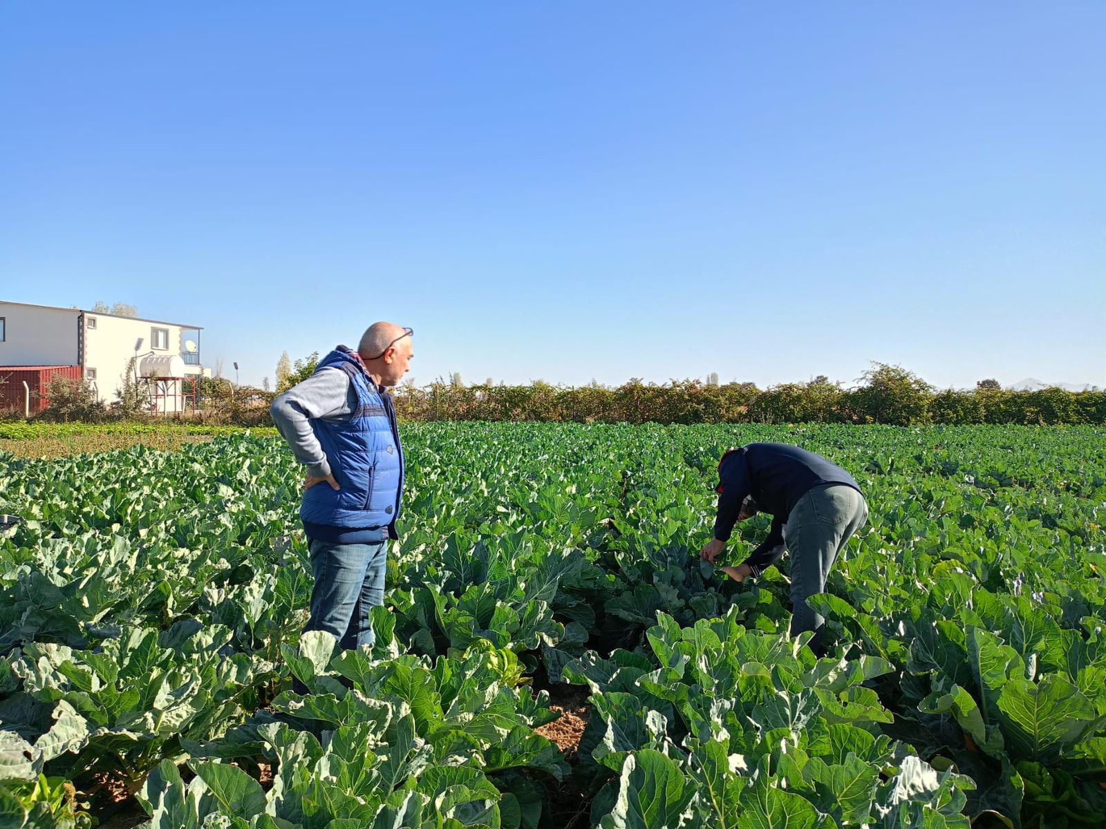 Konya Beyşehir’de Üretici Ziyaretleri Ve Saha Kontrolleri4